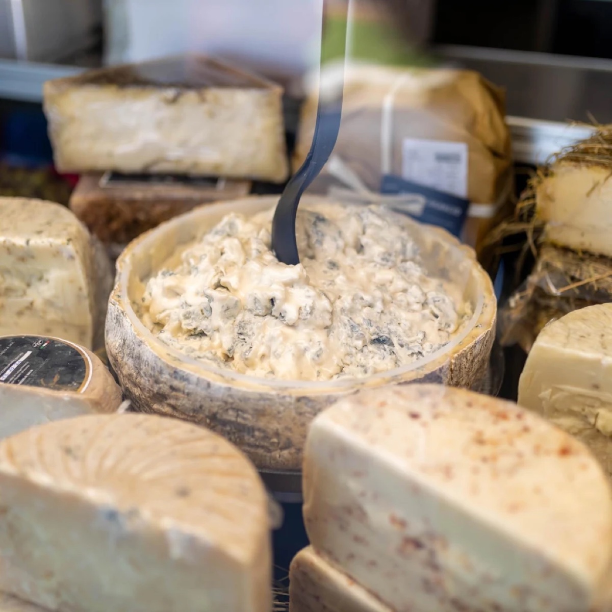 Formaggi tipici campani